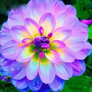 Meet your Posher, Kat